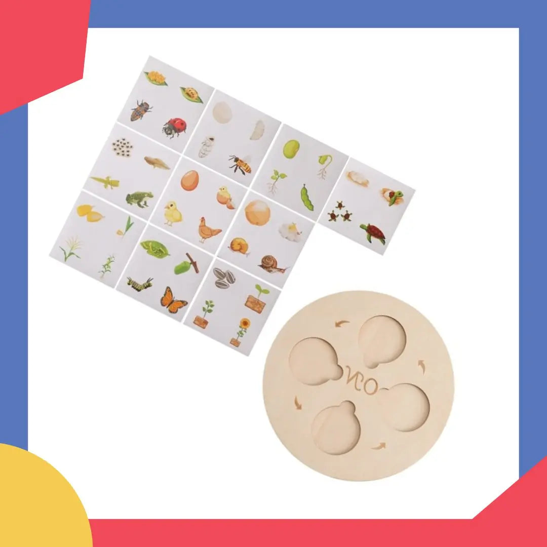 Puzzle en Bois sur le Cycle de la Vie des Plantes et des Animaux - Mon Jouet Montessori