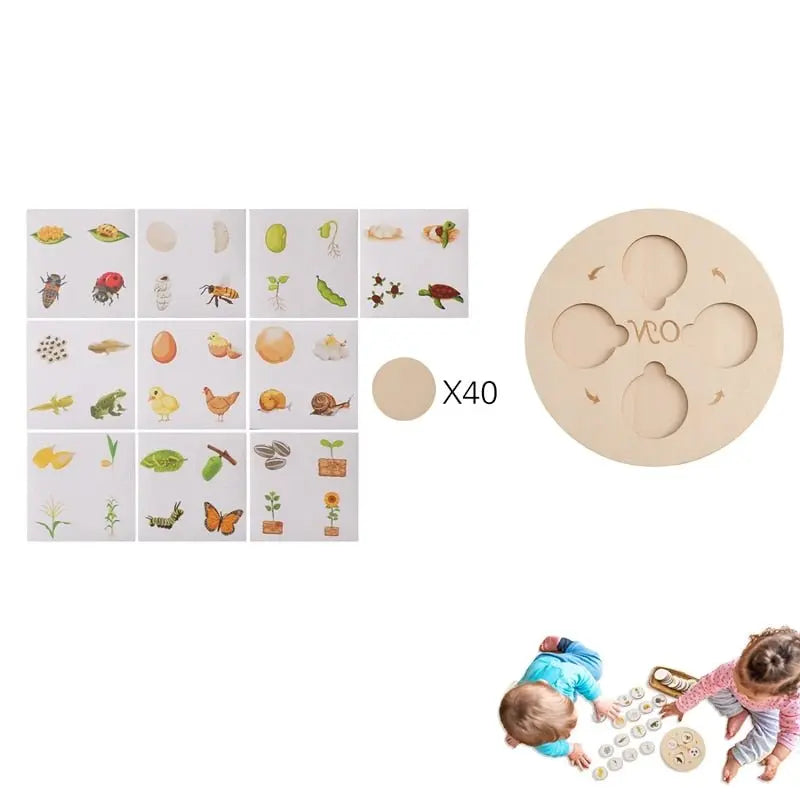 Puzzle en Bois sur le Cycle de la Vie des Plantes et des Animaux - Mon Jouet Montessori