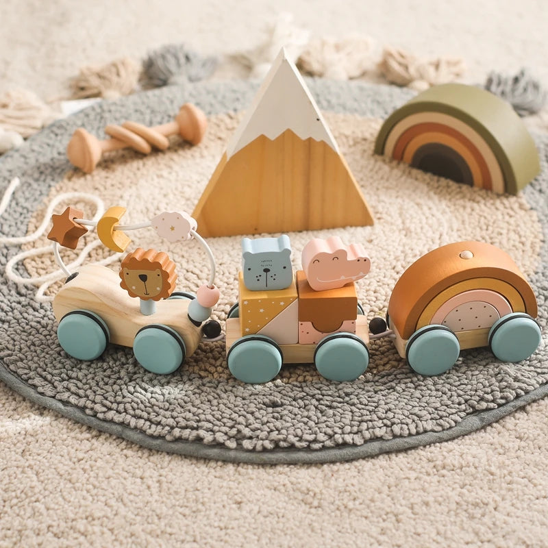 Jouets Montessori pour bébé, Train en bois, jouets éducatifs pour bébé, blocs arc-en-ciel en bois, chariot, jouets d'apprentissage pour bébé, cadeaux d'anniversaire pour enfants - Mon Jouet Montessori