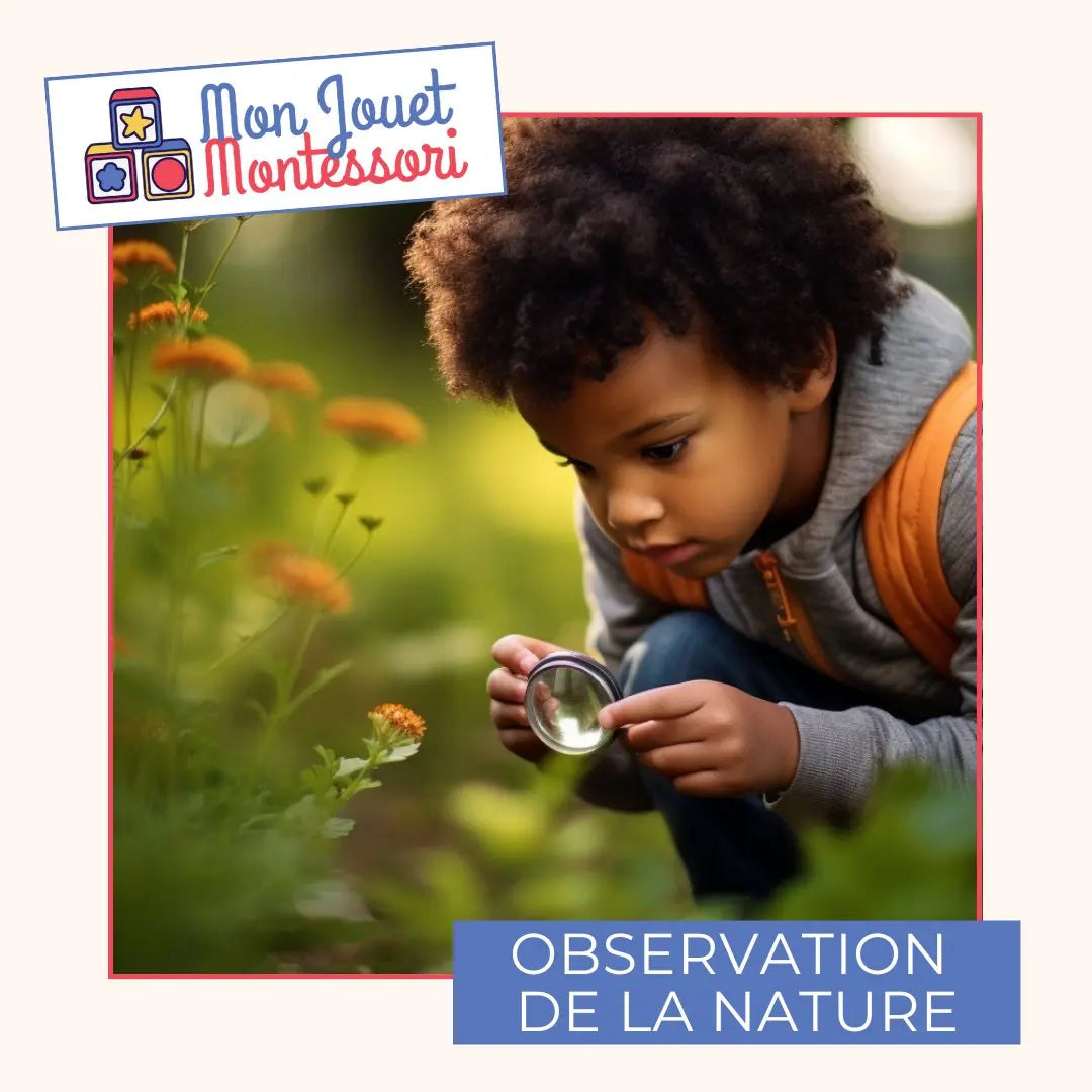 Observation de la nature - Mon Jouet Montessori