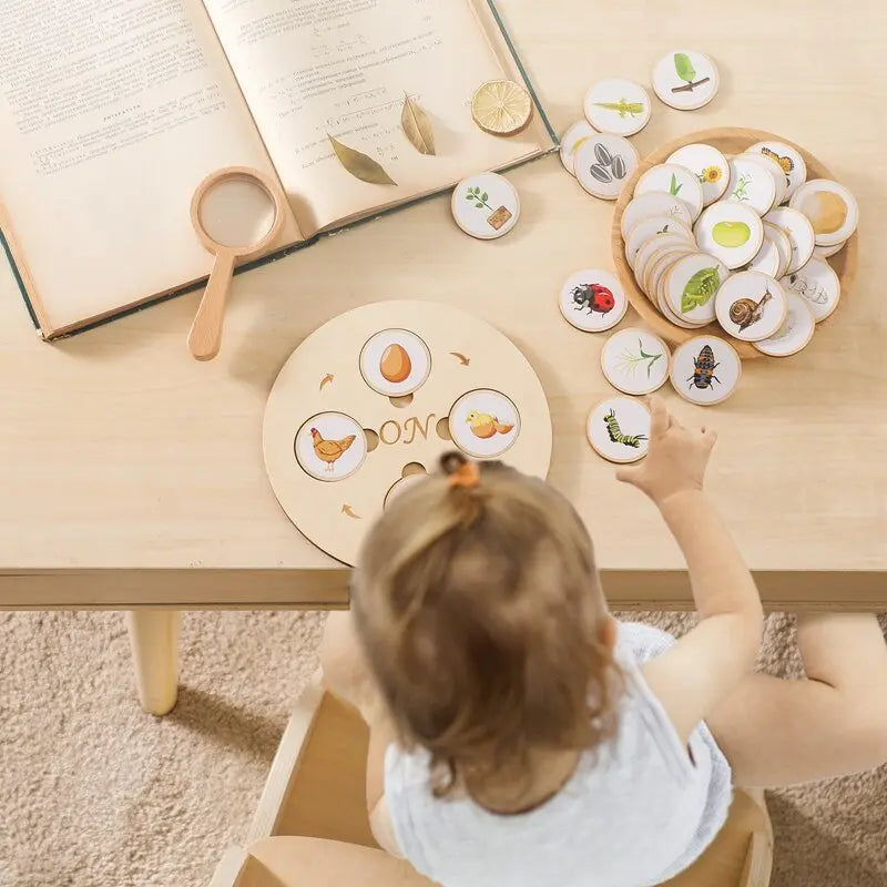 Puzzle en Bois sur le Cycle de la Vie des Plantes et des Animaux - Mon Jouet Montessori